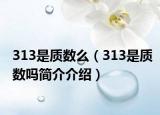 313是质数么（313是质数吗简介介绍）
