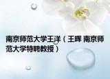 南京师范大学王洋（王晖 南京师范大学特聘教授）