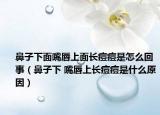 鼻子下面嘴唇上面长痘痘是怎么回事（鼻子下 嘴唇上长痘痘是什么原因）