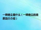 一骑绝尘是什么（一骑绝尘的意思简介介绍）