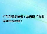 广东东莞龙岗镇（龙岗镇 广东省深圳市龙岗镇）