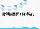 脉搏波图解（脉搏波）