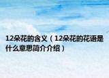 12朵花的含义（12朵花的花语是什么意思简介介绍）