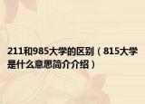 211和985大学的区别（815大学是什么意思简介介绍）