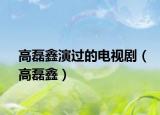 高磊鑫演过的电视剧（高磊鑫）
