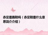 赤足是跑鞋吗（赤足鞋是什么意思简介介绍）