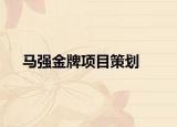 马强金牌项目策划
