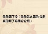佐助死了没（佐助怎么死的 佐助真的死了吗简介介绍）