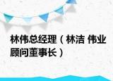 林伟总经理（林洁 伟业顾问董事长）