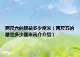 两尺六的腰是多少厘米（两尺五的腰是多少厘米简介介绍）