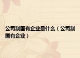 公司制国有企业是什么（公司制国有企业）