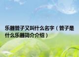 乐器管子又叫什么名字（管子是什么乐器简介介绍）