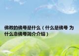佛教的佛号是什么（什么是佛号 为什么念佛号简介介绍）