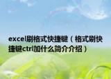 excel刷格式快捷键（格式刷快捷键ctrl加什么简介介绍）