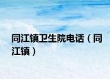 同江镇卫生院电话（同江镇）