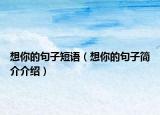 想你的句子短语（想你的句子简介介绍）