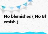 No blemishes（No Blemish）