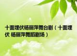 十面埋伏杨丽萍舞台剧（十面埋伏 杨丽萍舞蹈剧场）