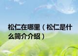 松仁在哪里（松仁是什么简介介绍）