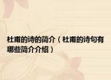 杜甫的诗的简介（杜甫的诗句有哪些简介介绍）