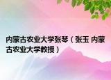 内蒙古农业大学张琴（张玉 内蒙古农业大学教授）