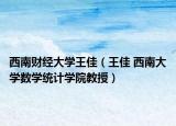 西南财经大学王佳（王佳 西南大学数学统计学院教授）
