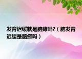 发育迟缓就是脑瘫吗?（脑发育迟缓是脑瘫吗）