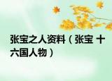 张宝之人资料（张宝 十六国人物）