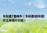 车标是T是啥车（车标是t的车是什么车简介介绍）