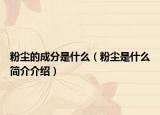 粉尘的成分是什么（粉尘是什么简介介绍）