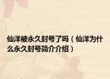 仙洋被永久封号了吗（仙洋为什么永久封号简介介绍）
