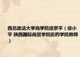 西北政法大学商学院徐京平（徐小平 陕西国际商贸学院医药学院教师）