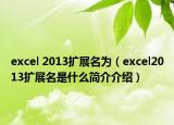 excel 2013扩展名为（excel2013扩展名是什么简介介绍）