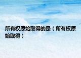 所有权原始取得的是（所有权原始取得）
