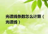 光谱线条数怎么计算（光谱线）
