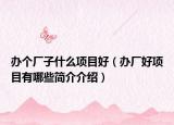 办个厂子什么项目好（办厂好项目有哪些简介介绍）