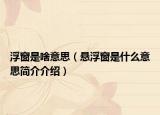 浮窗是啥意思（悬浮窗是什么意思简介介绍）