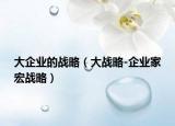 大企业的战略（大战略-企业家宏战略）