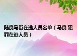 陆良马街在逃人员名单（马良 犯罪在逃人员）