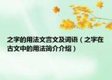 之字的用法文言文及词语（之字在古文中的用法简介介绍）