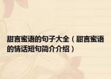 甜言蜜语的句子大全（甜言蜜语的情话短句简介介绍）