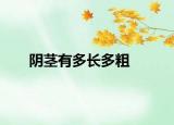 阴茎有多长多粗