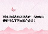 到底是叫古驰还是古奇（古驰和古奇有什么不同古简介介绍）