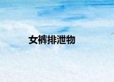 女裤排泄物