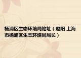 杨浦区生态环境局地址（赵阳 上海市杨浦区生态环境局局长）