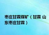 枣庄甘霖煤矿（甘霖 山东枣庄甘霖）