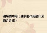 油泵的功用（油泵的作用是什么简介介绍）