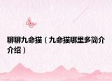 聊聊九命猫（九命猫哪里多简介介绍）