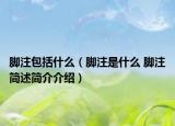脚注包括什么（脚注是什么 脚注简述简介介绍）