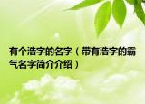有个浩字的名字（带有浩字的霸气名字简介介绍）